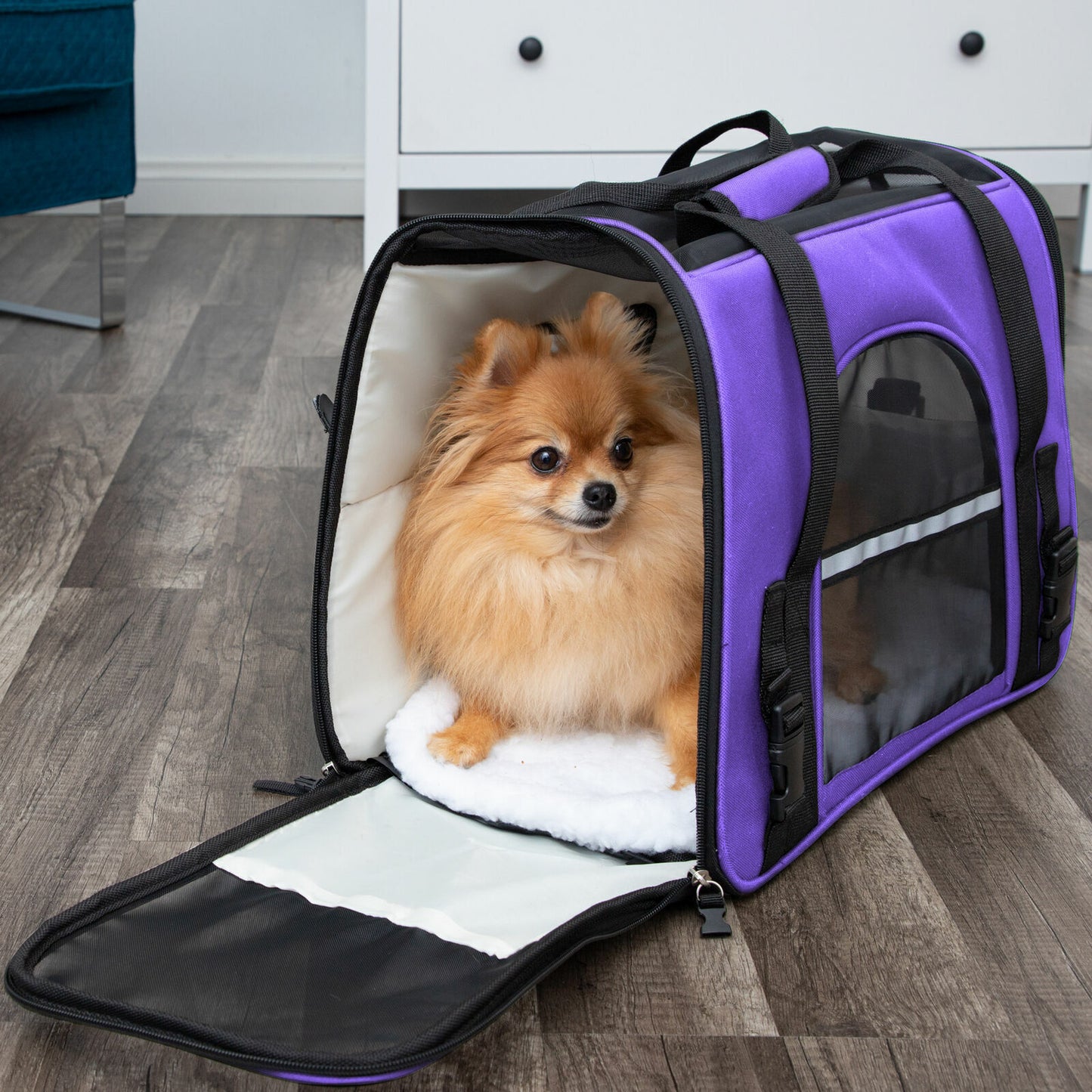 Pet Carrier Bag Travel Case Airline Approved Soft Sided Comfort Bag for Dog Cat