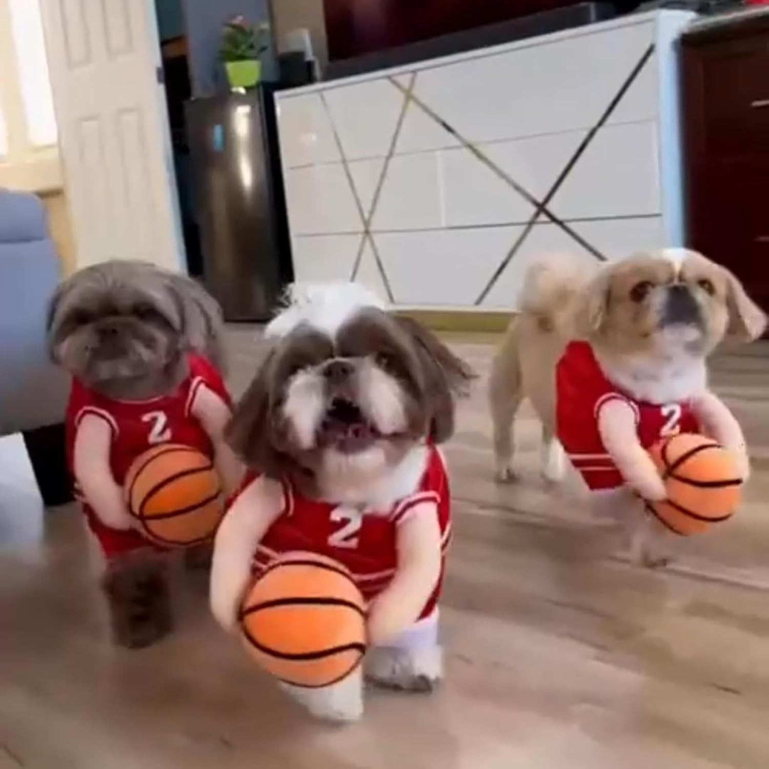 2025 New Dog Halloween Costumes, Dog Basketball Costume with Ball, Halloween Costumes with Basketball, Costume for Small Medium Large Dogs (1*RED, Small)