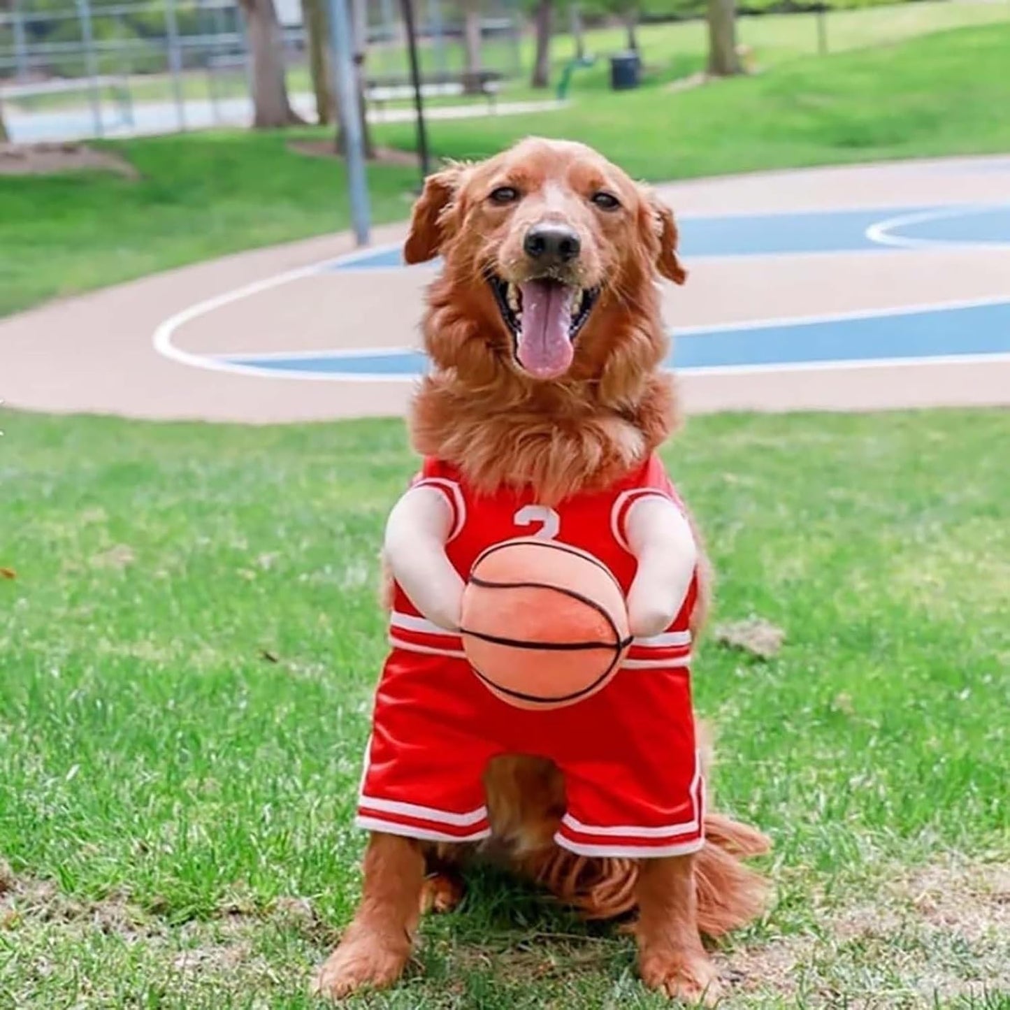 2025 New Dog Halloween Costumes, Dog Basketball Costume with Ball, Halloween Costumes with Basketball, Costume for Small Medium Large Dogs (1*RED, Small)