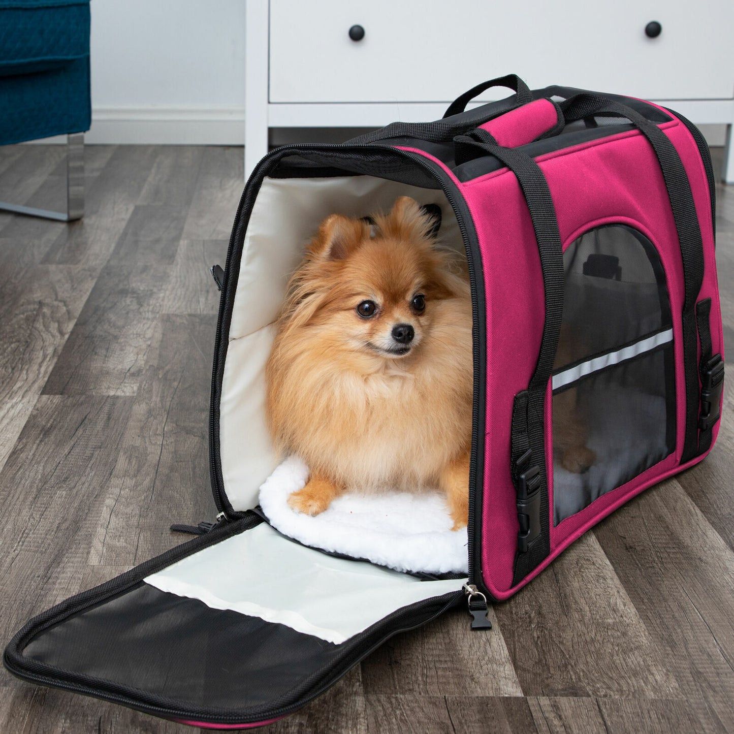 Pet Carrier Bag Travel Case Airline Approved Soft Sided Comfort Bag for Dog Cat